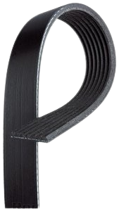 Micro V Belt Honda Accord 2018-2022 2.0L