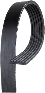 Micro V Belt Toyota Rav4 2009-2018 2.5L