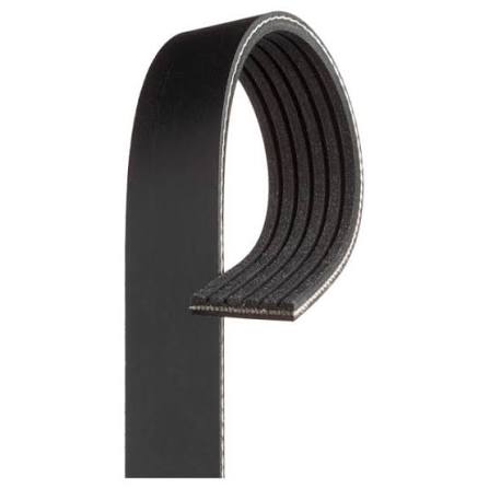 Micro V-Belt Honda Civic 2016-2024
